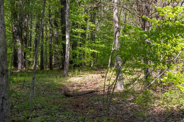 Franklin, NH 03235,Rowell DR