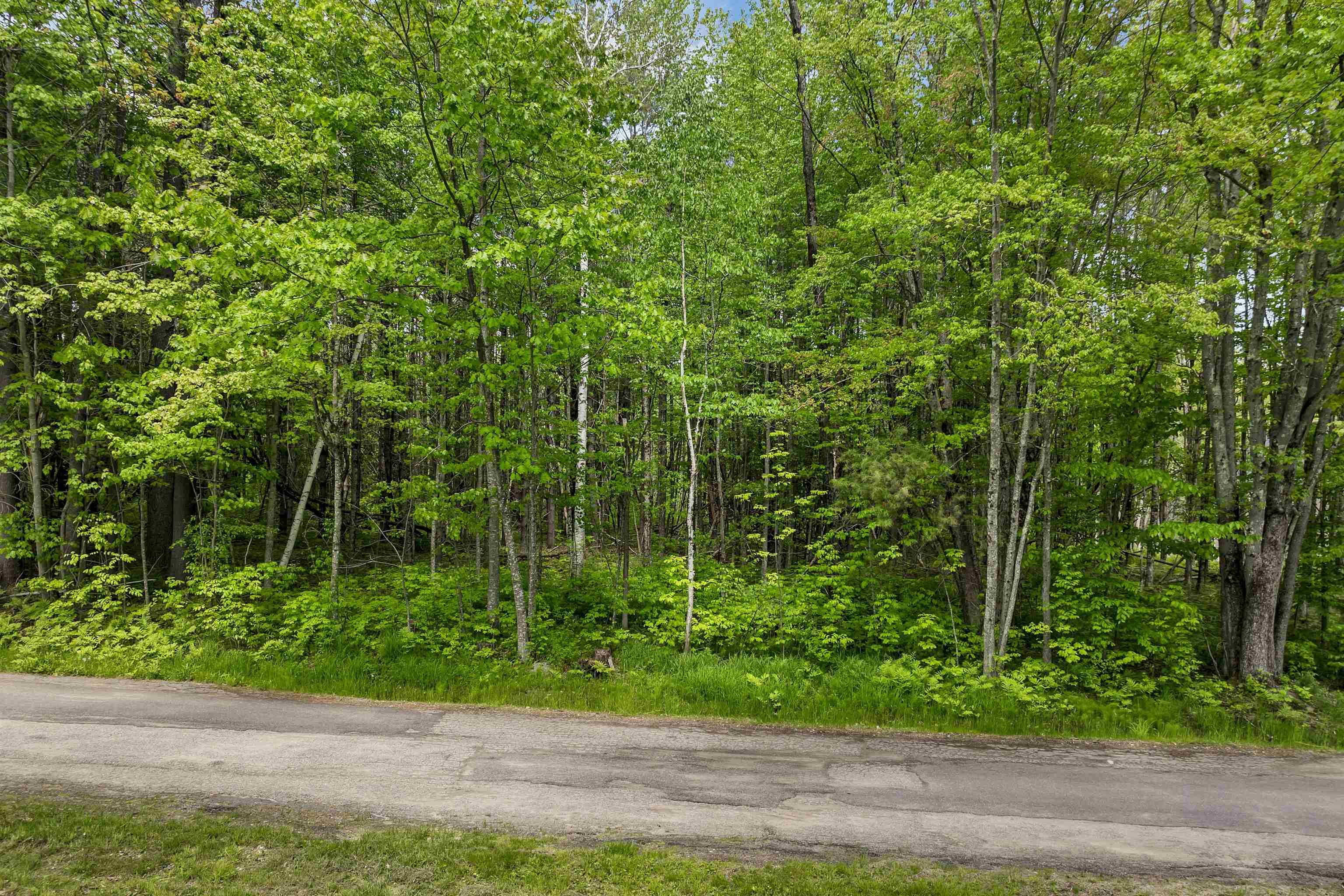 Tuftonboro, NH 03816,Lot 4 Vere Royce RD #Lot 4