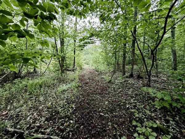 Raymond, NH 03077,41-48 Meindl RD