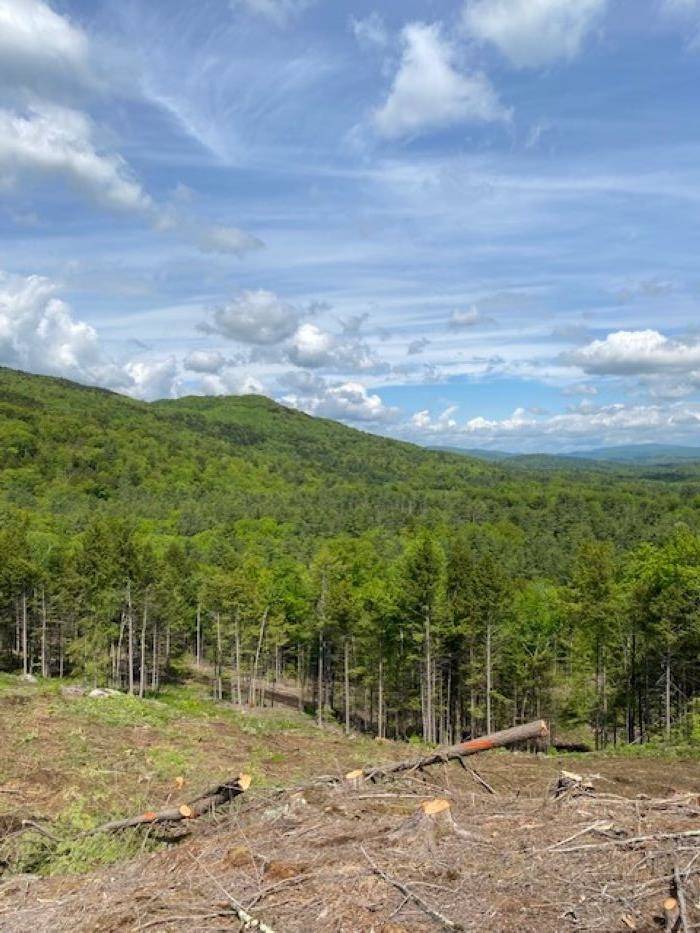 Rumney, NH 03266-9998,15-12-10-9 Jacob Hall Farm RD #Lot #9