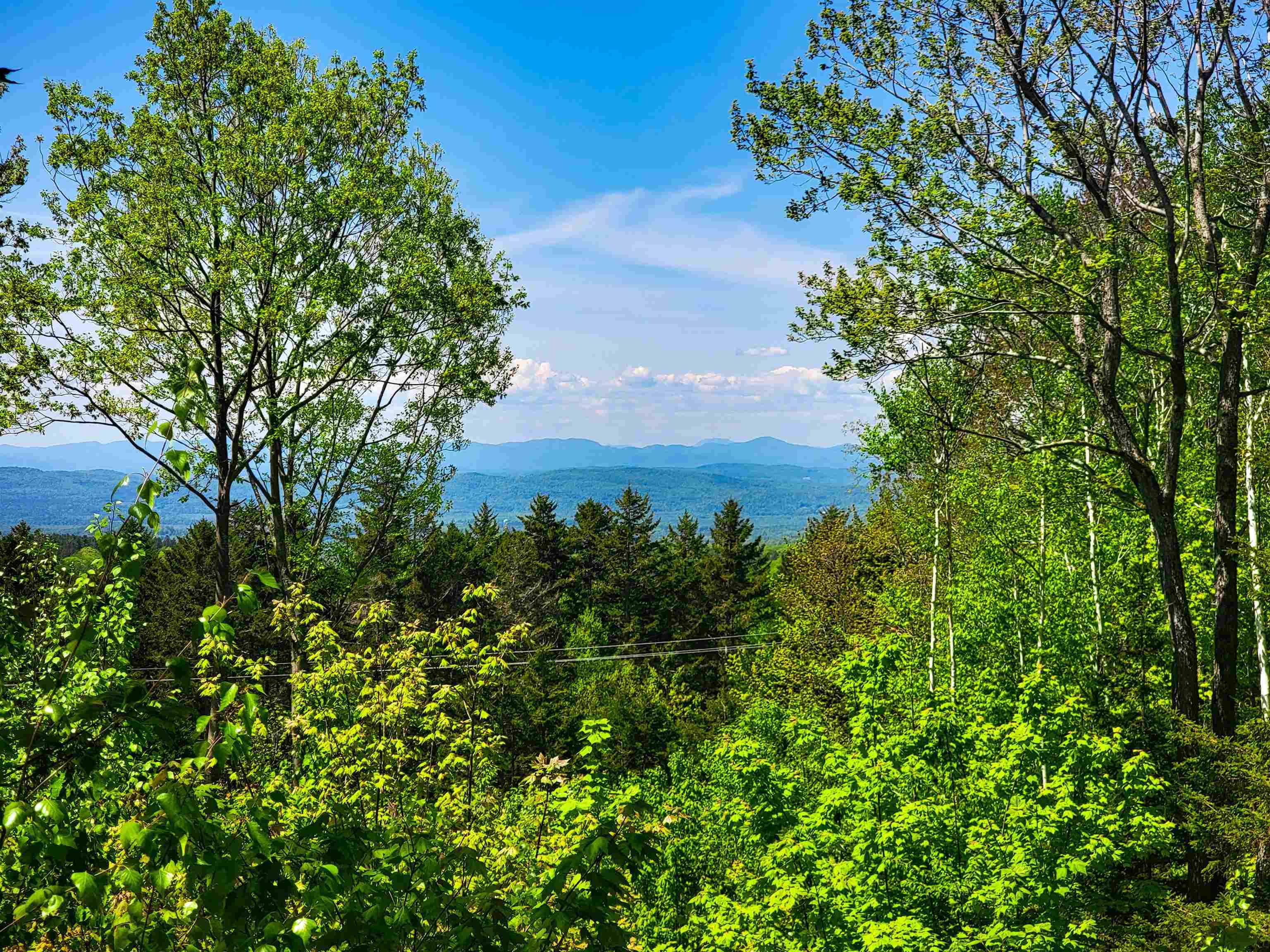 Goshen, VT 05733,925 Hathaway RD