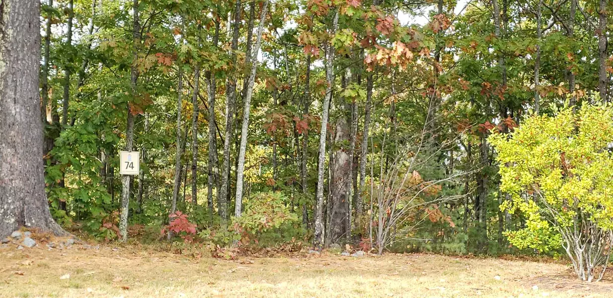 53 Deadreckoning PT #43, Laconia, NH 03246