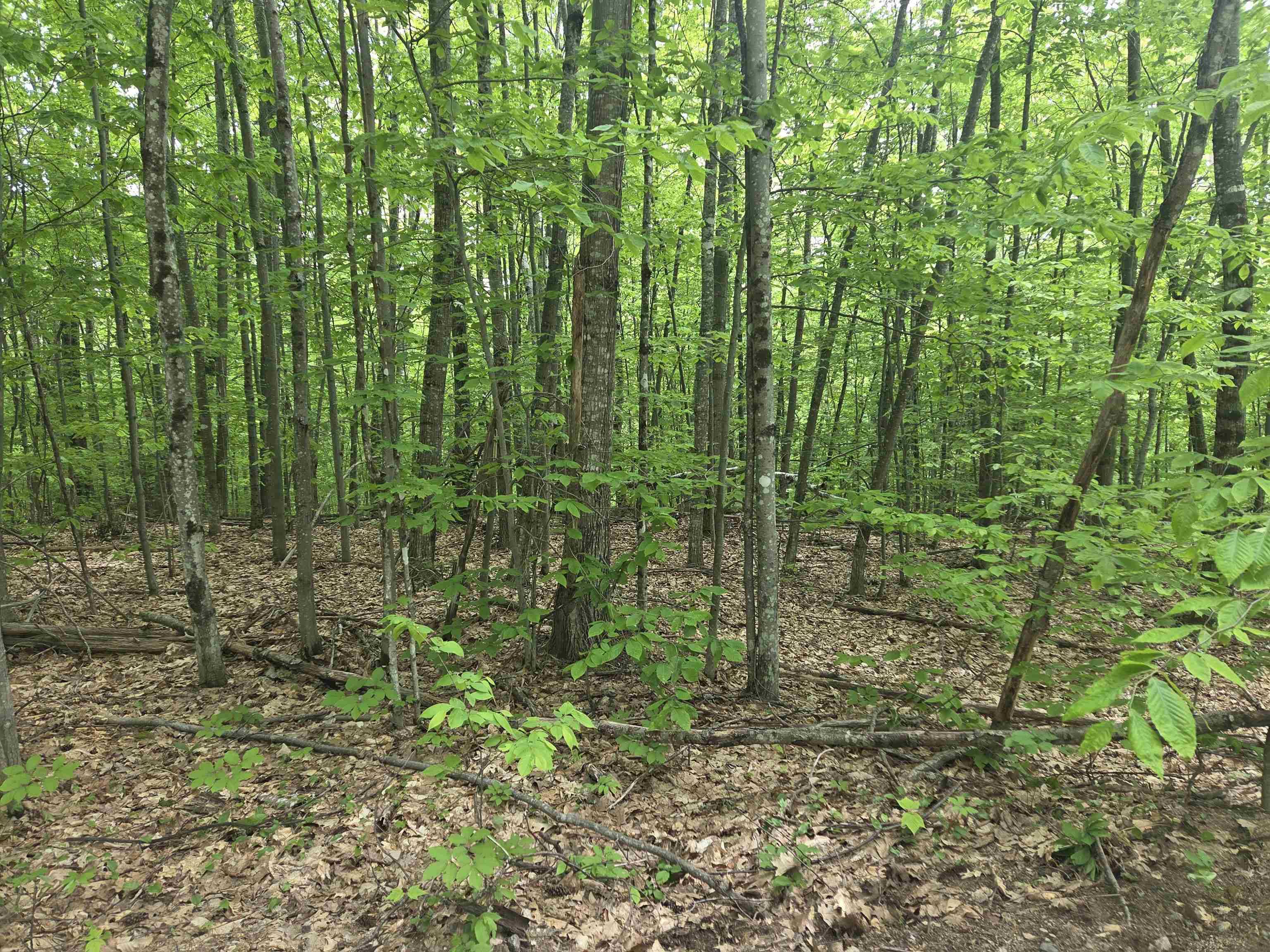 Campton, NH 03223,5 Panaway DR #11-1-3