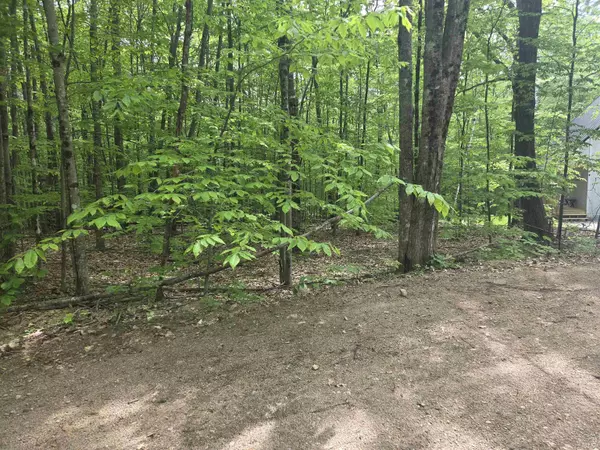 Campton, NH 03223,5 Panaway DR #11-1-3