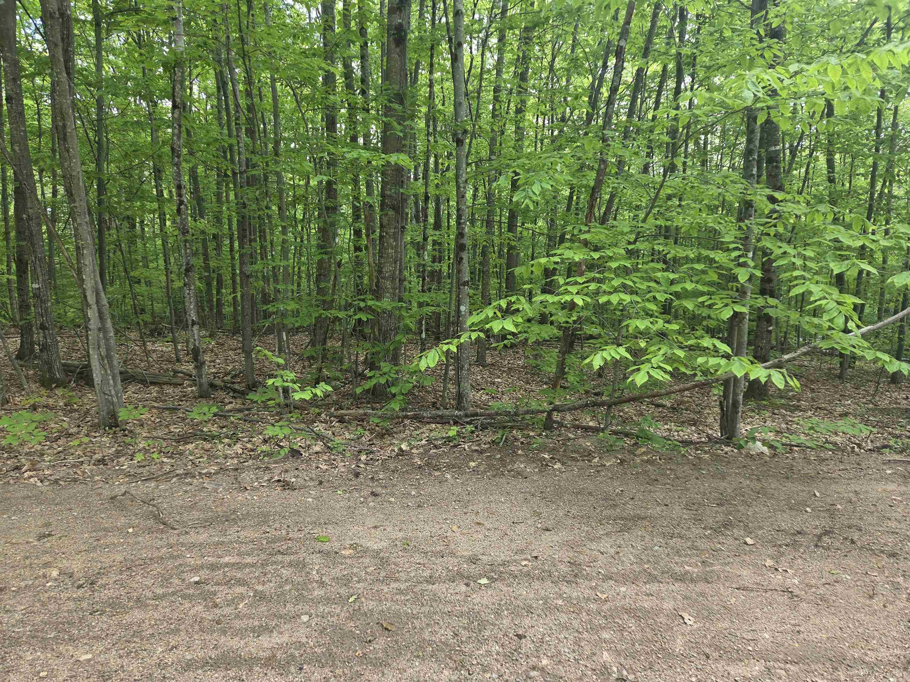 Campton, NH 03223,5 Panaway DR #11-1-3
