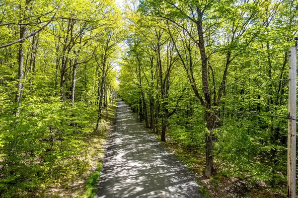 Hanover, NH 03755,44 Three Mile RD