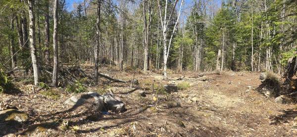 15 Adams WAY, Middleton, NH 03887