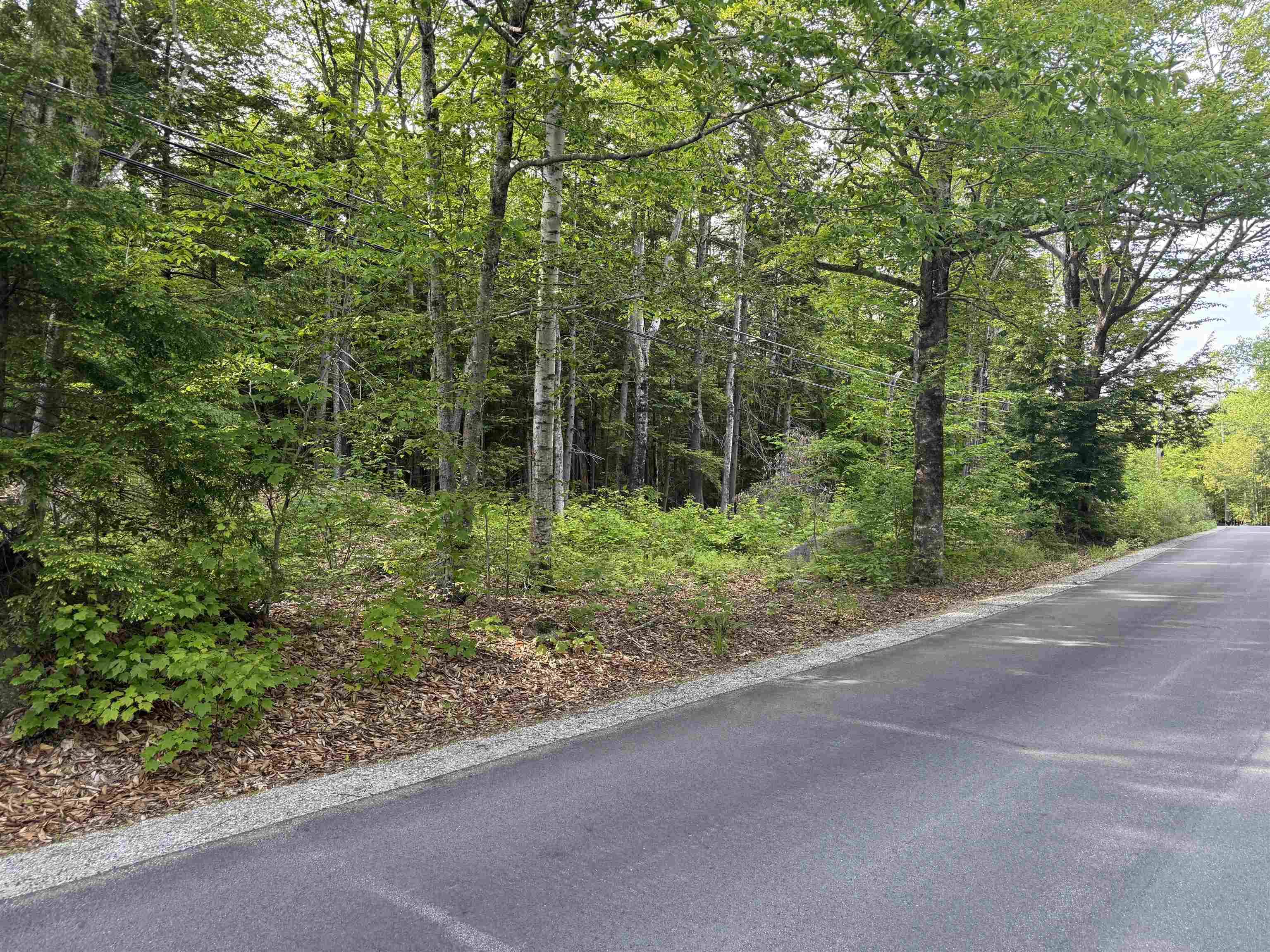 Sanbornton, NH 03269,Map 5 Lot 20-4 Black Brook RD