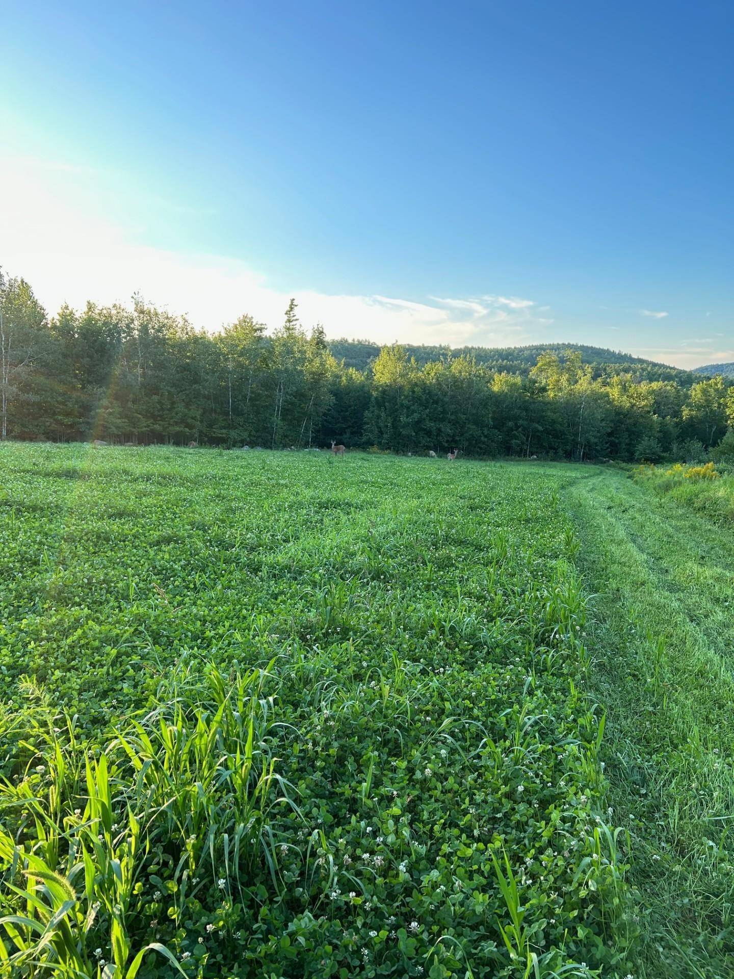 Map 7 Lot 1, 298 Battle ST, Webster, NH 03303