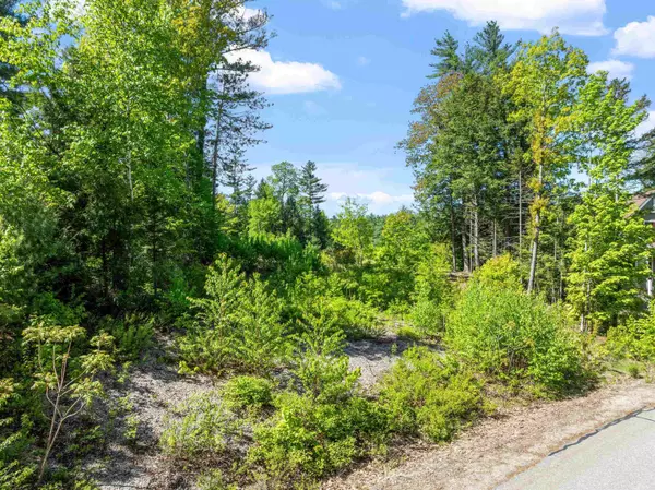 Thornton, NH 03285,00 Edgewater LN
