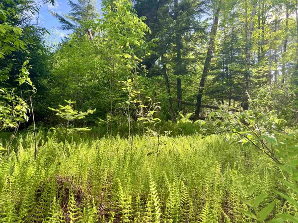 Danville, VT 05828,00 Hawkins RD