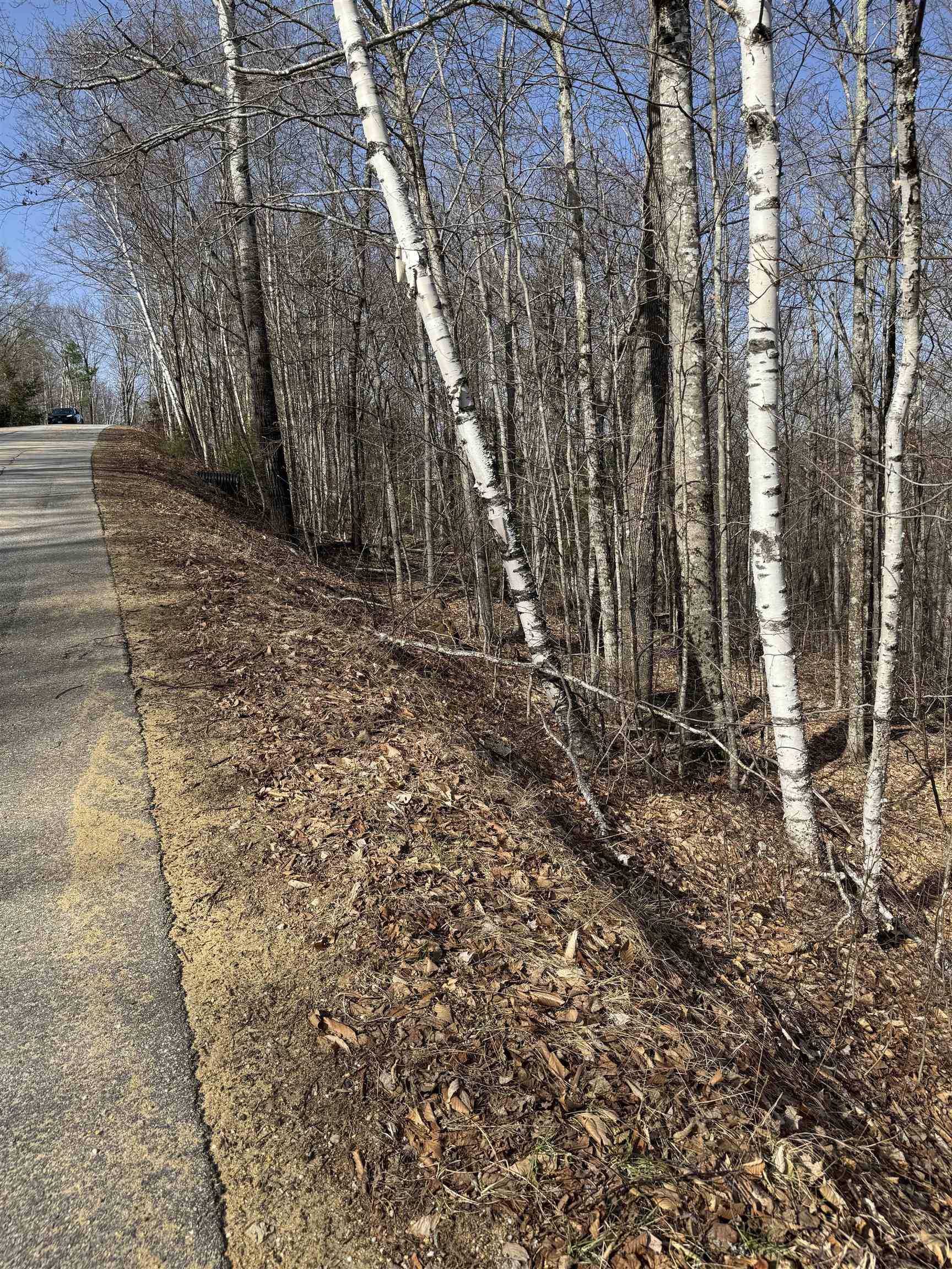 Campton, NH 03223,0 Summit DR