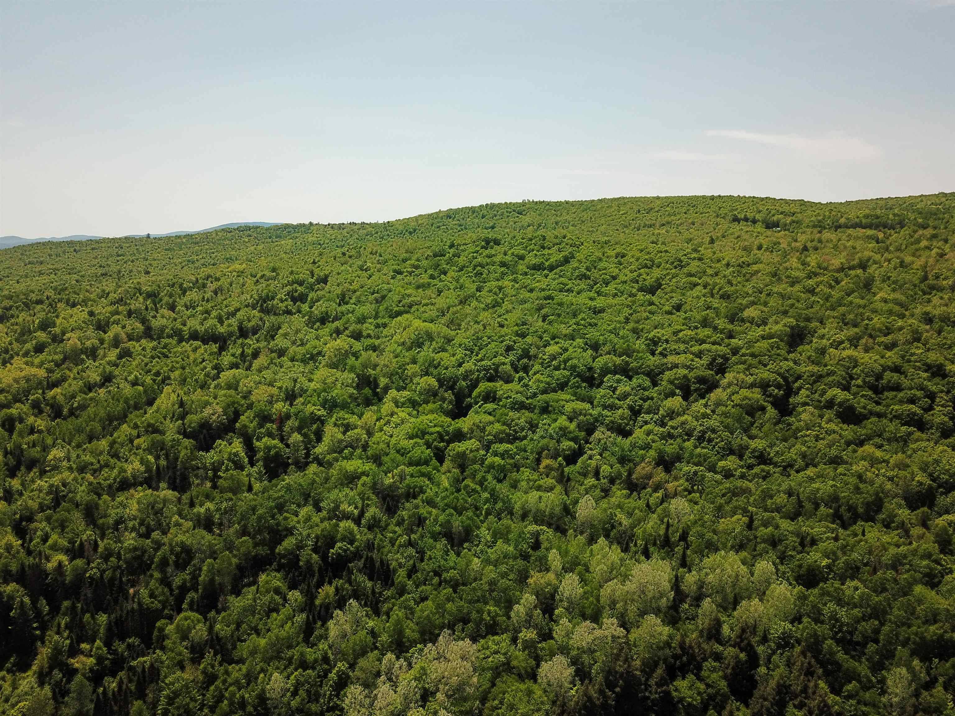 Bloomfield, VT 05905,150 Spur RD