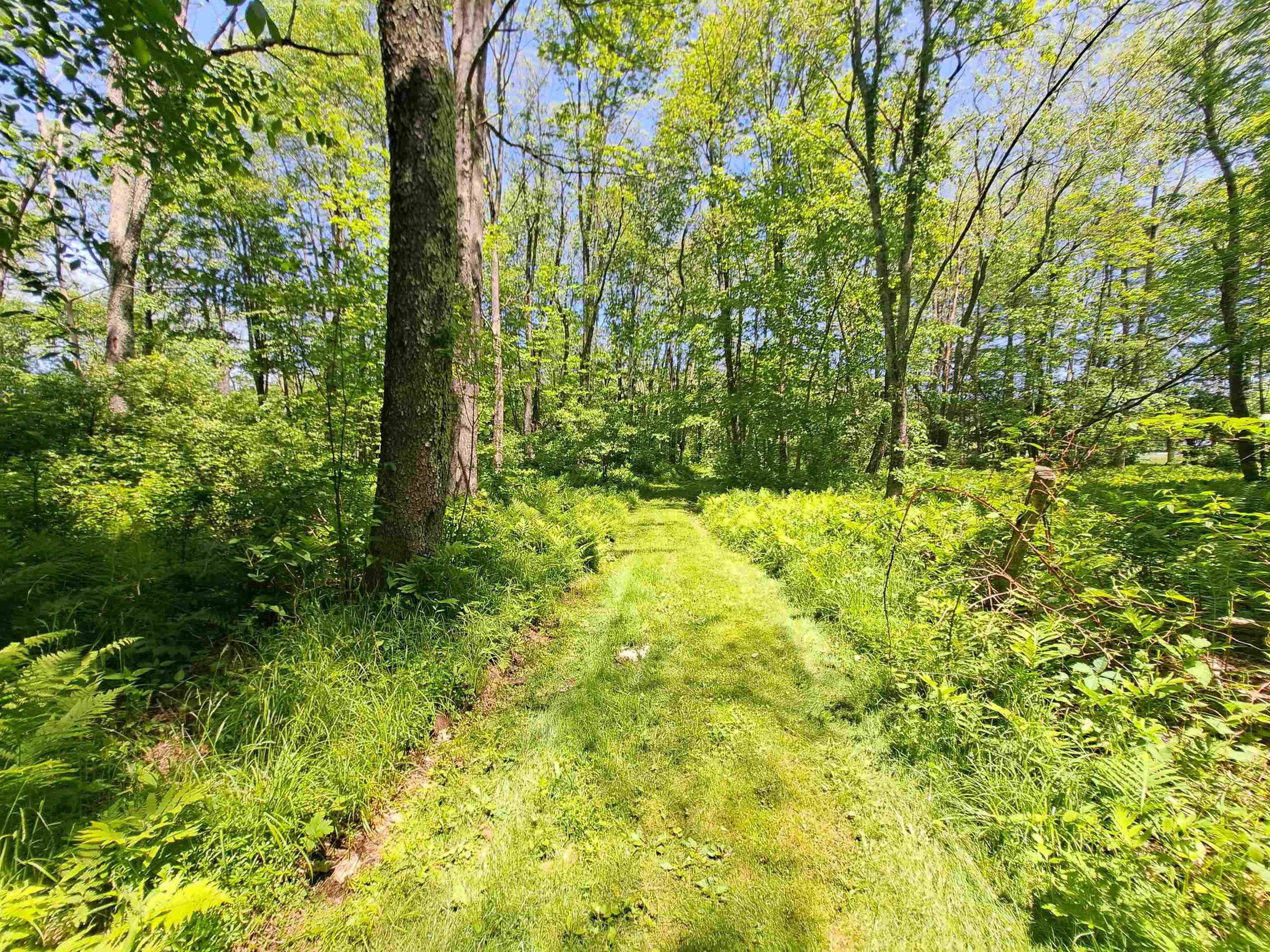 Campton, NH 03223,Bumps Intervale RD