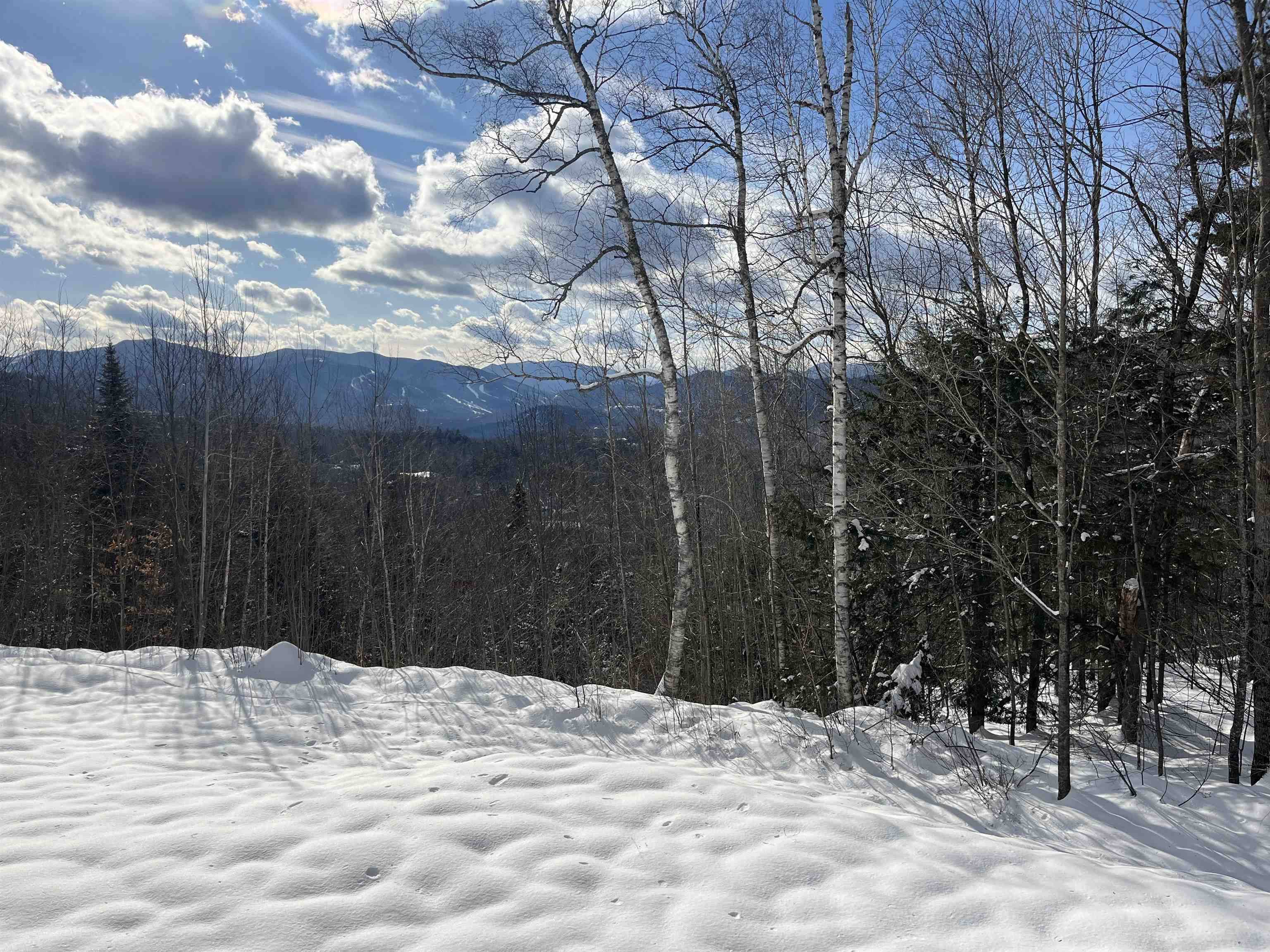 Jackson, NH 03846,62 Juniper WAY