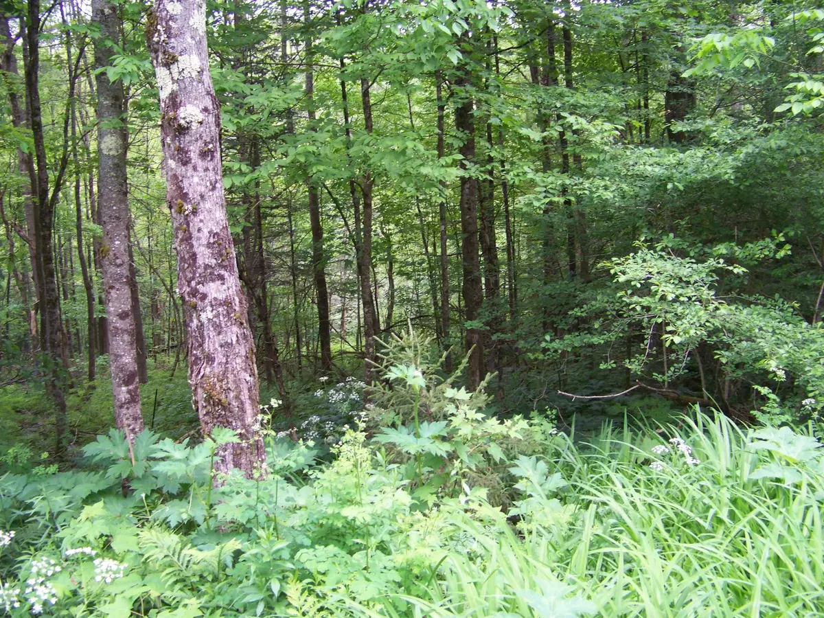 Rochester, VT 05767,403 Fiske RD
