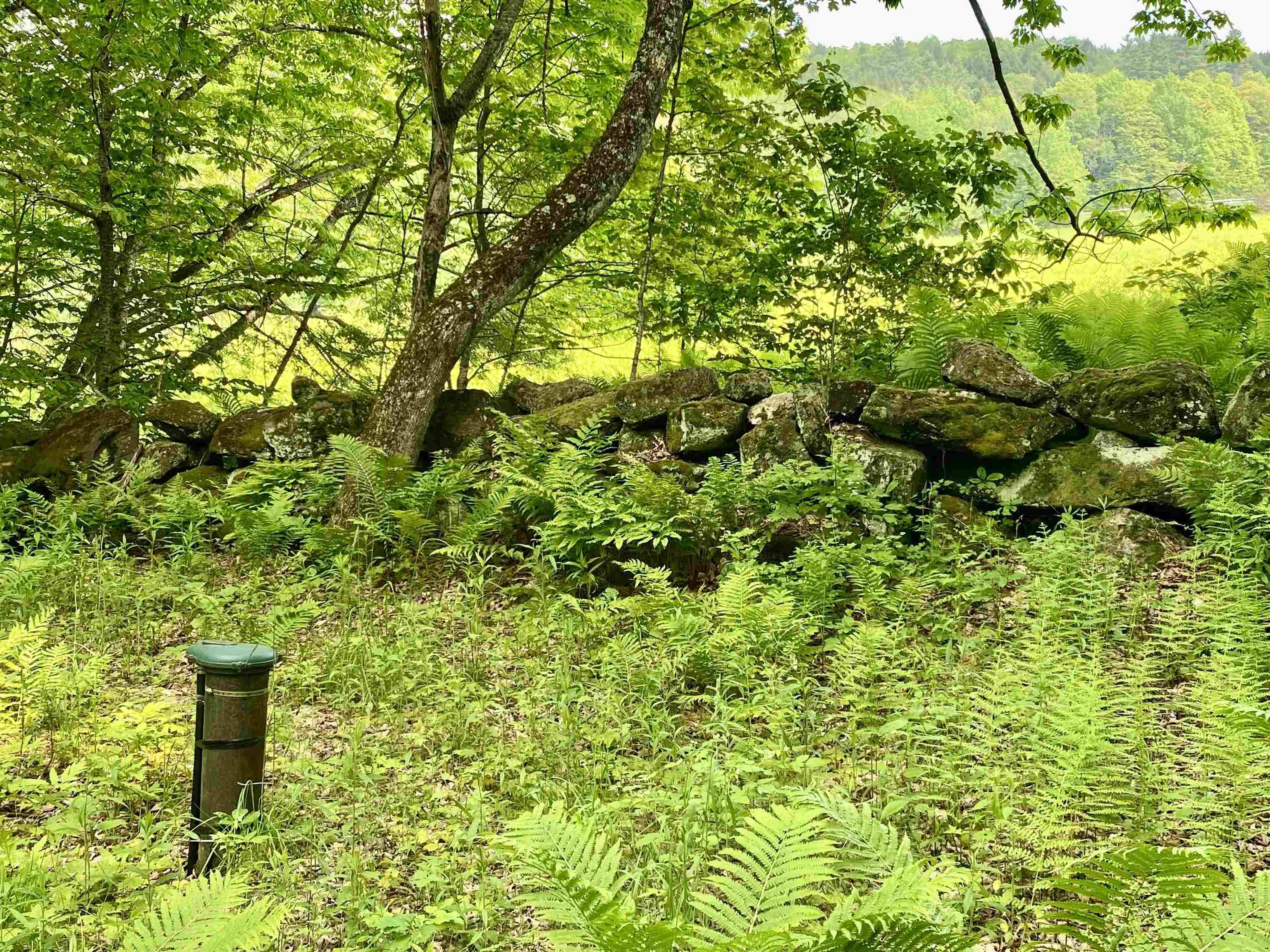 Woodstock, VT 05091,00 Carlton HL