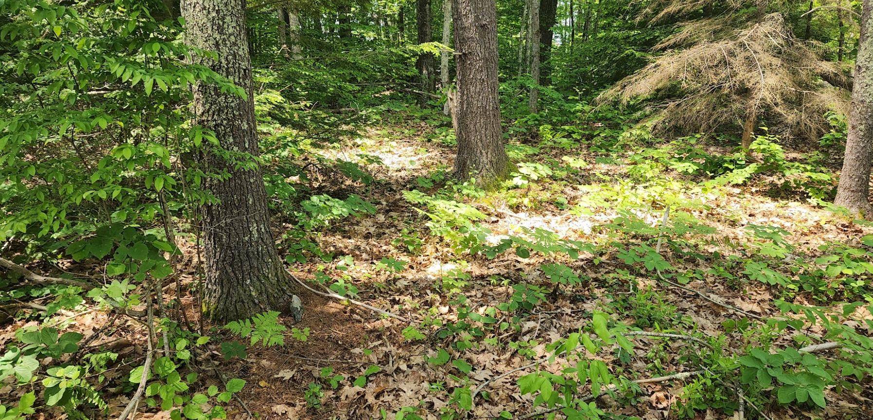 Barrington, NH 03825,Long Shores DR