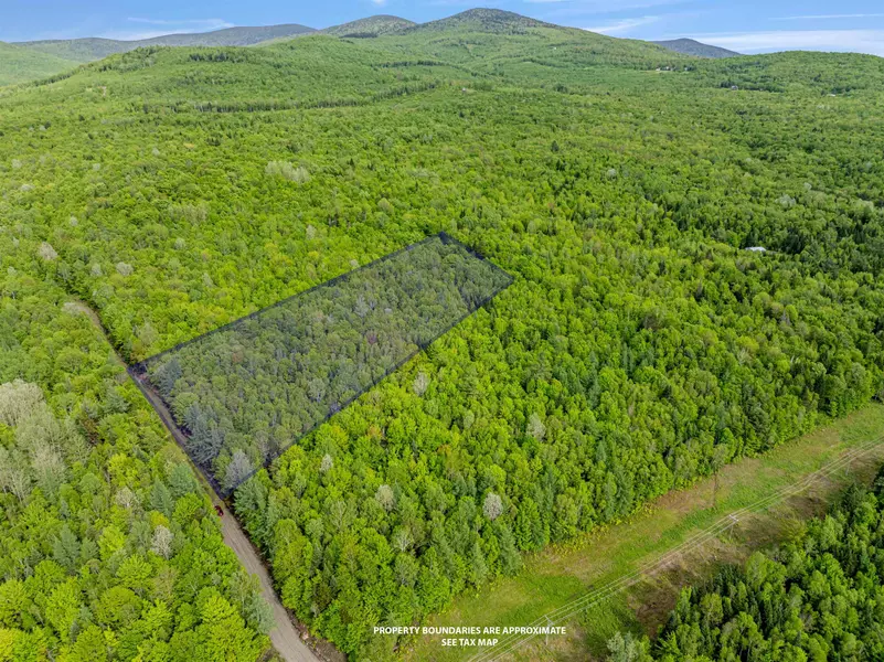 Lot 9 Off US Route 3, Columbia, NH 03576