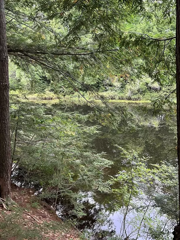 Madison, NH 03849,14 Little Loop RD #B218