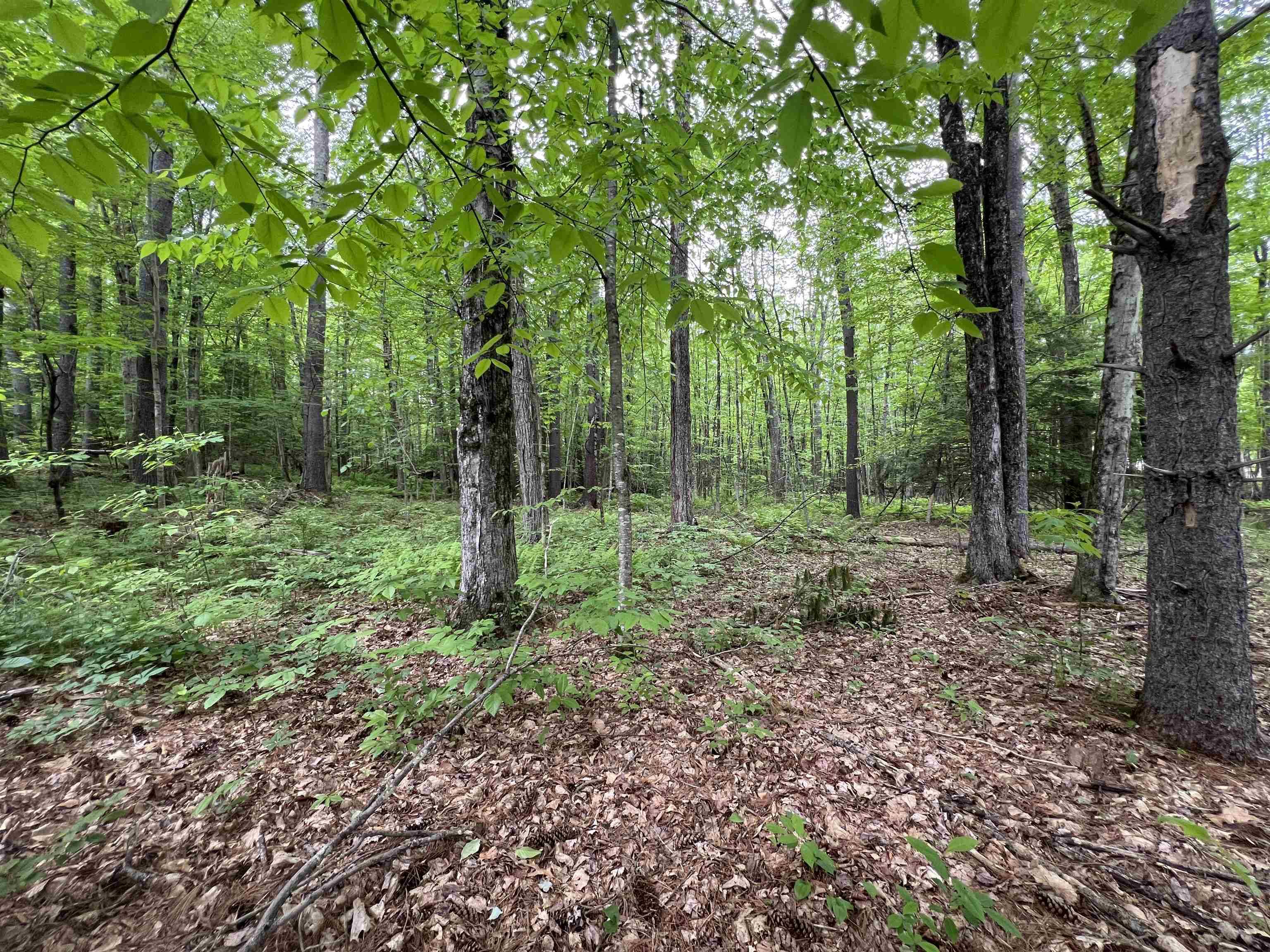 Milford, NH 03055,Ball Hill RD #Lot 51-5-2
