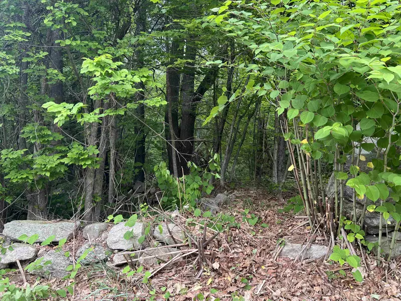 Ball Hill RD #Lot 51-5-2, Milford, NH 03055