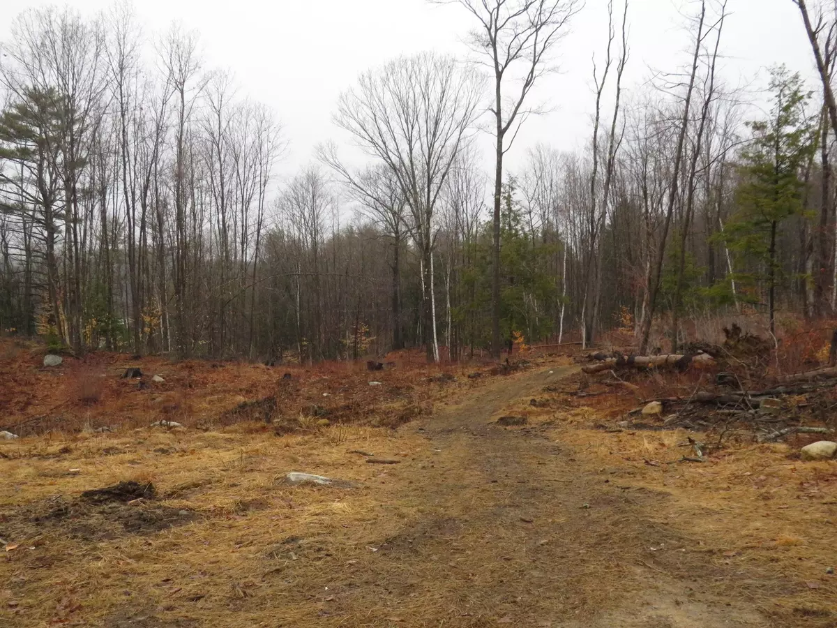 Newport, NH 03773,0011245 Parkview ST