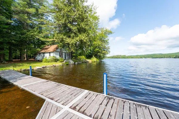 Meredith, NH 03253,31 Sherene Orchard RD