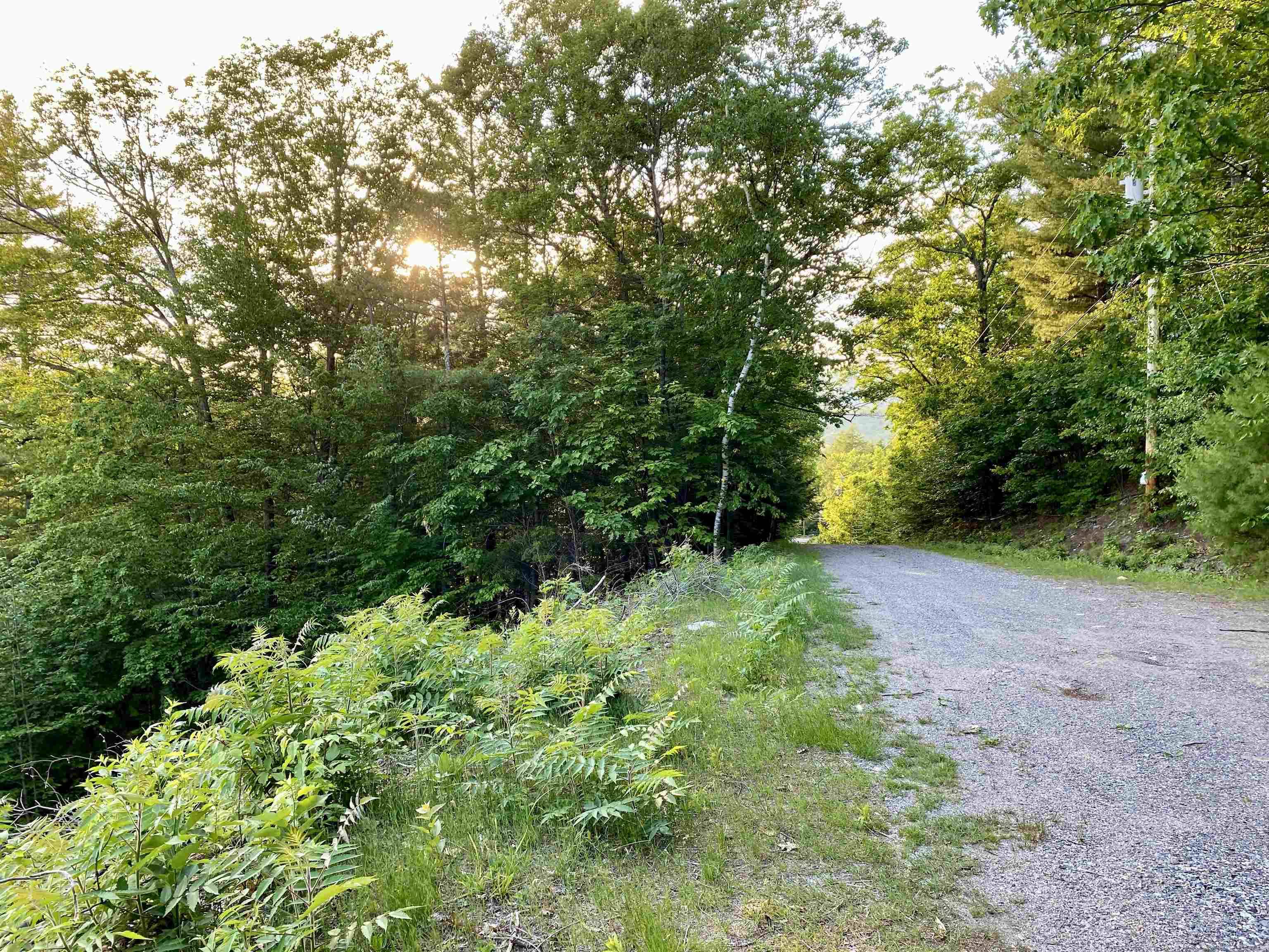 Alton, NH 03809,20 Nutter DR #189
