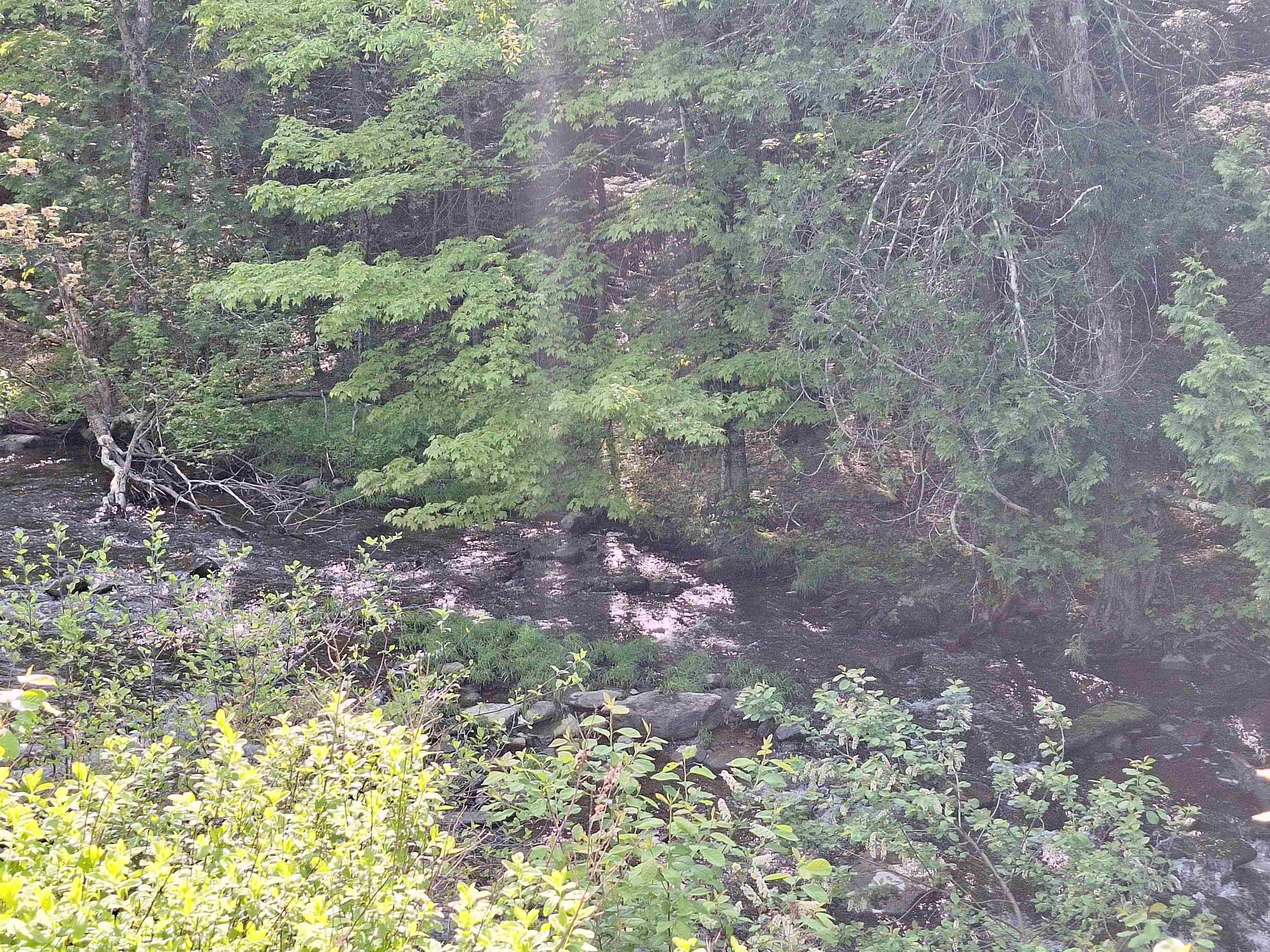Acworth, NH 03601,407 River RD