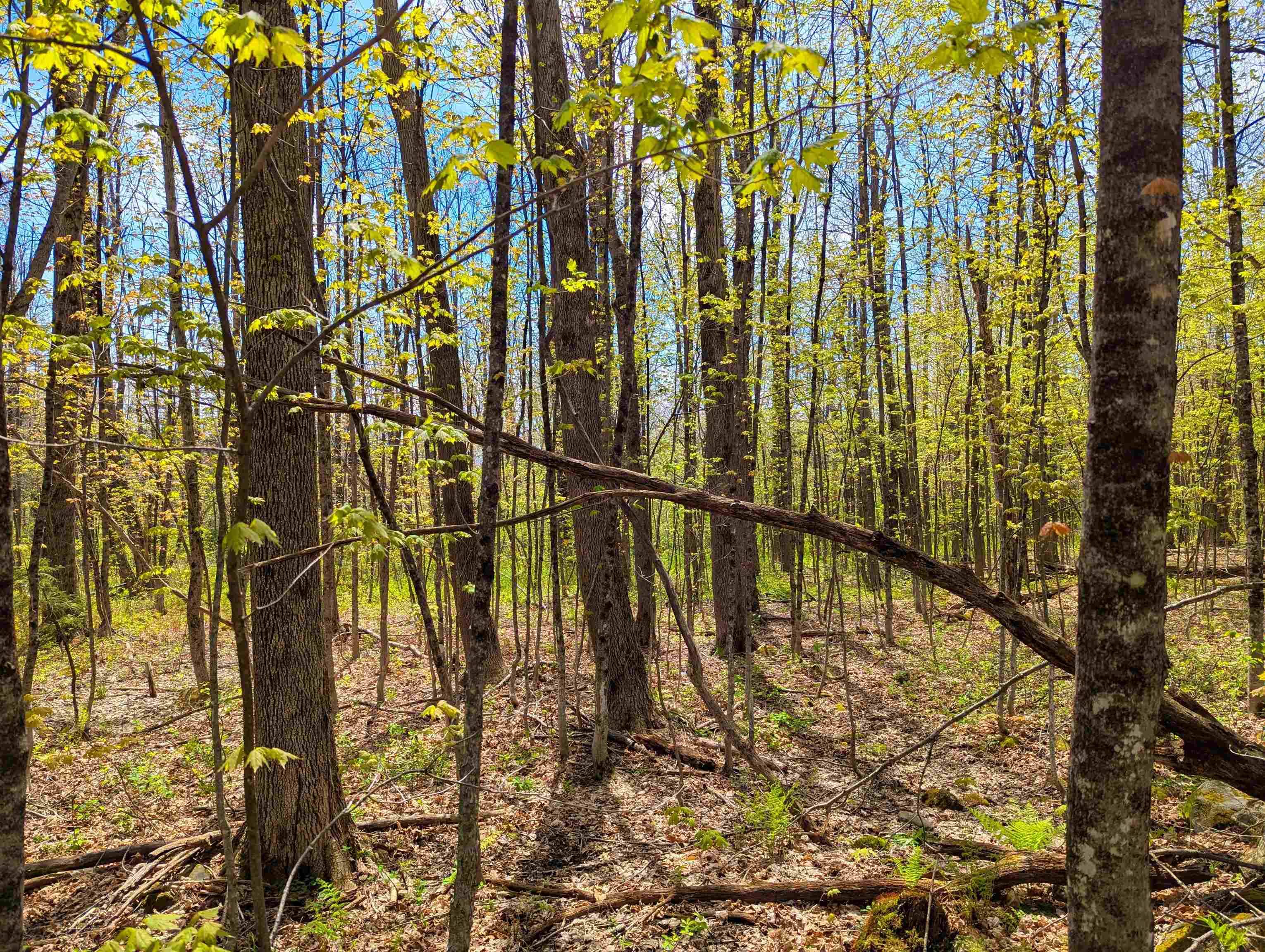 Dover, VT 05356,4 Antler LOOP