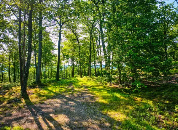 Andover, NH 03216,0 Beech Hill RD