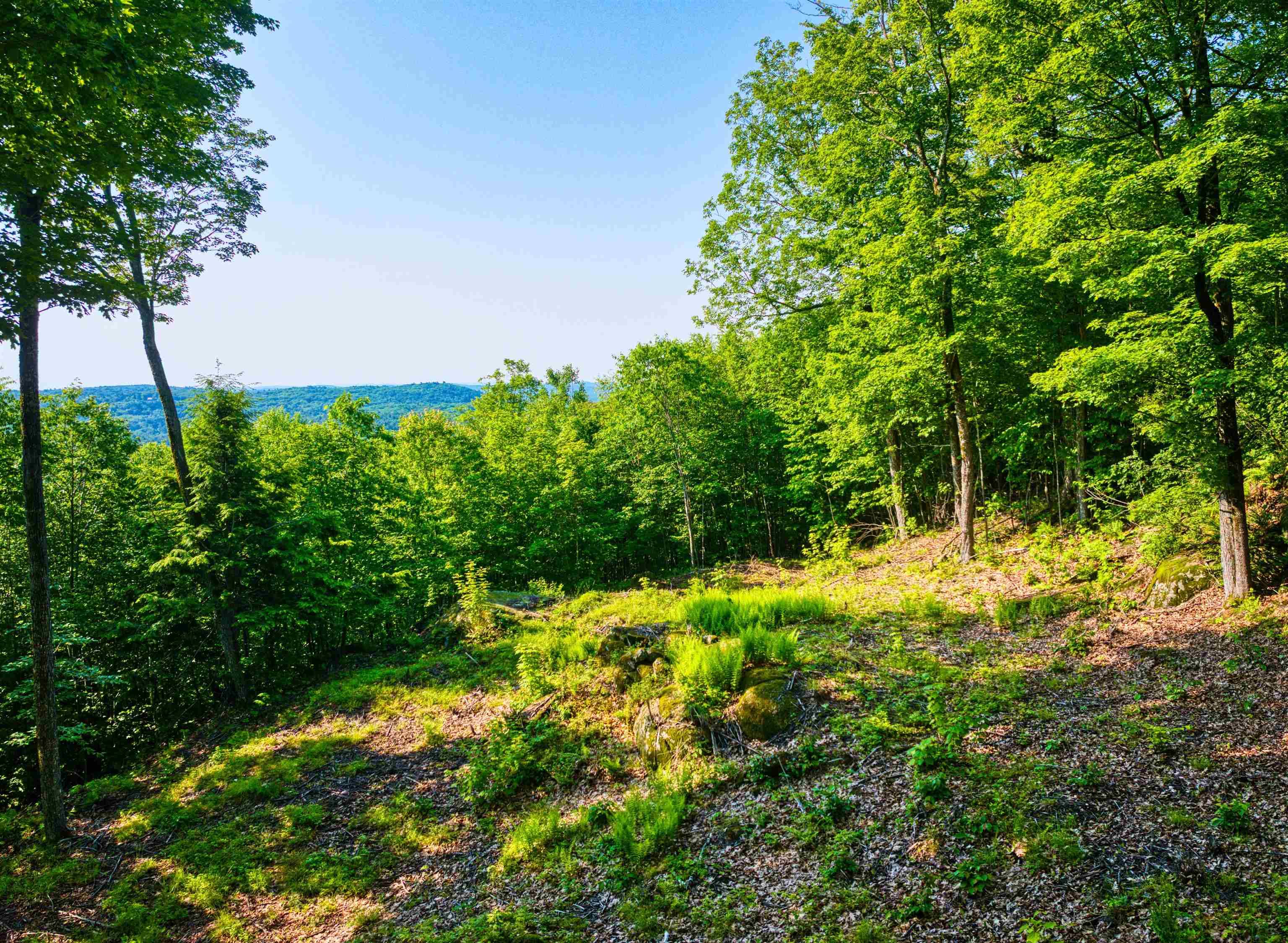 Andover, NH 03216,0 Beech Hill RD