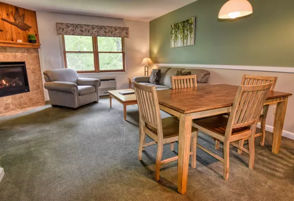 Woodstock, NH 03262,164 Deer Park DR #173A