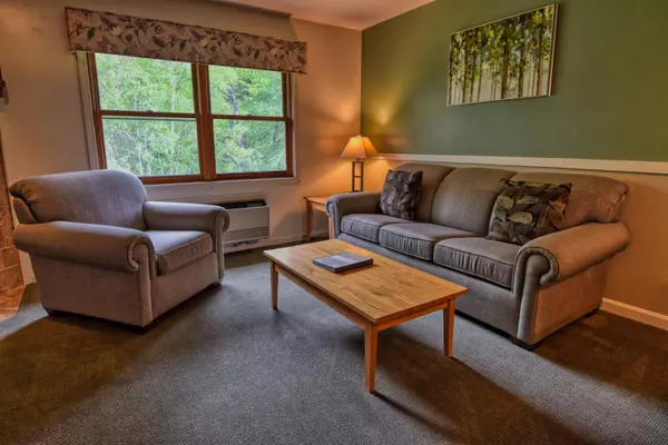 Woodstock, NH 03262,164 Deer Park DR #173A