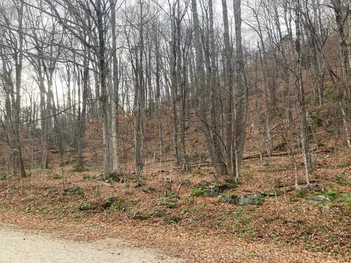 Killington, VT 05751,0 Ledge End RD #R4