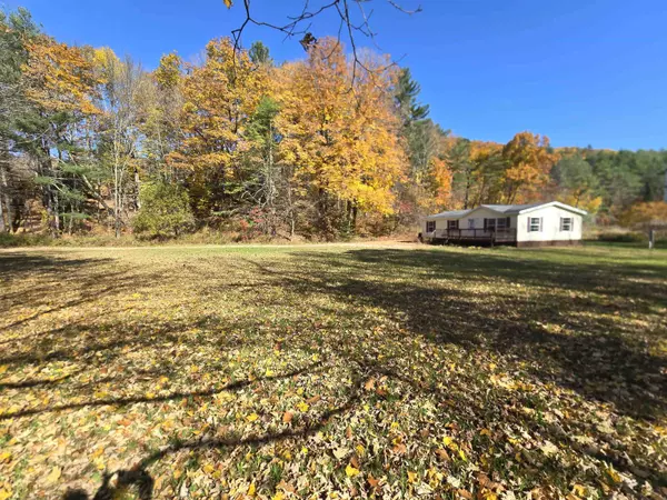 81 Trombley RD, Andover, VT 05143