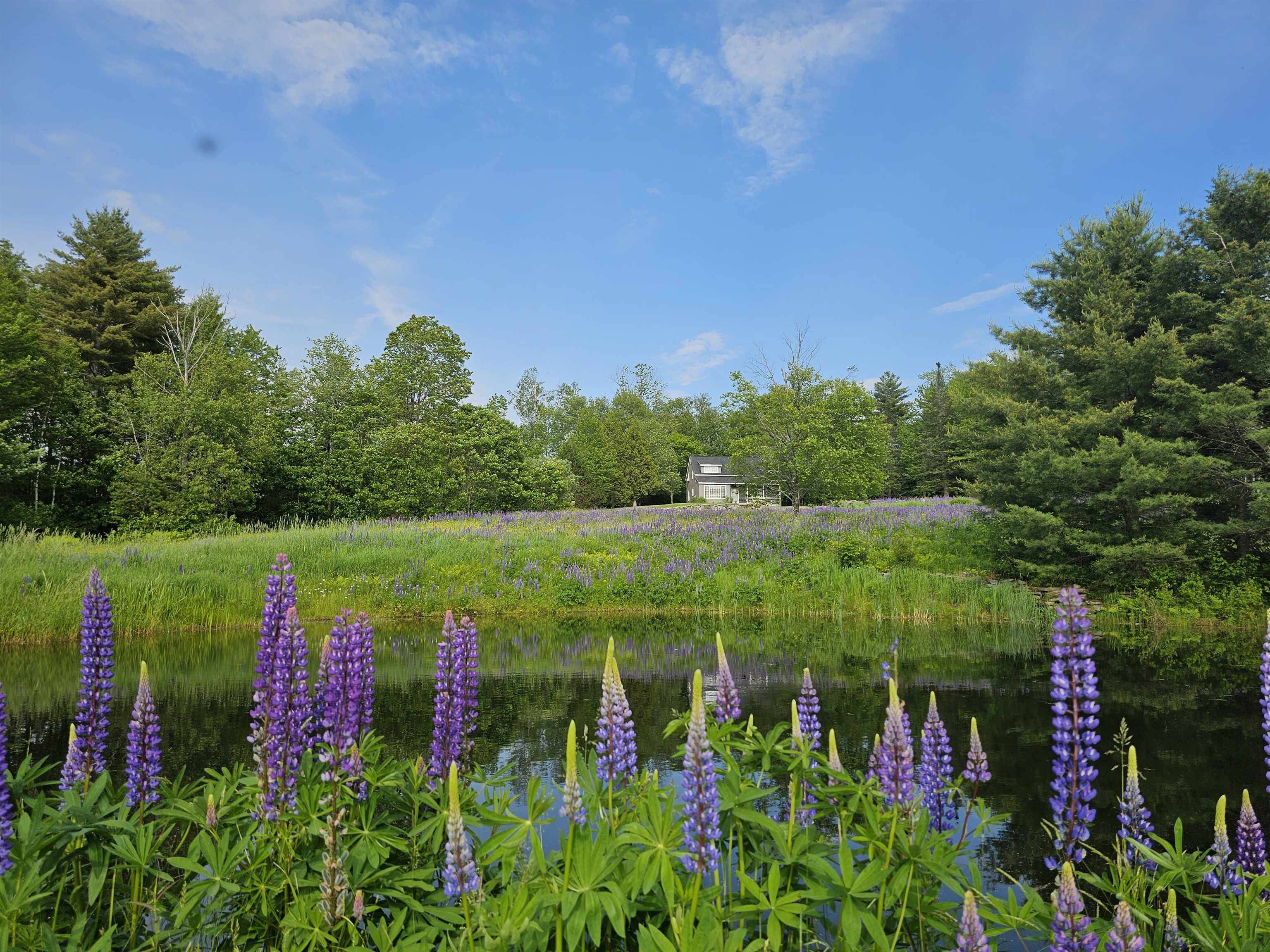 171 Pollard RD, Grafton, VT 05146