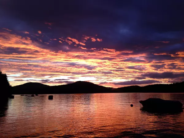 Address Not Disclosed