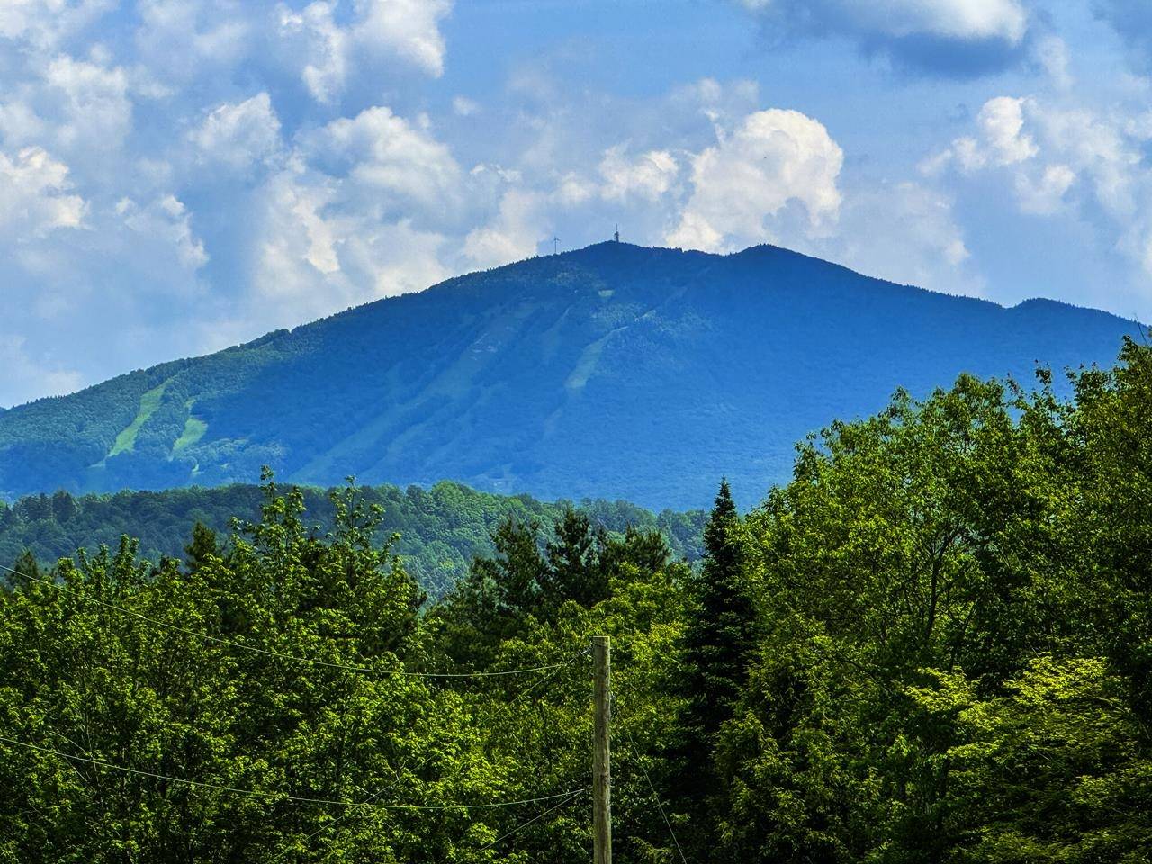 Burke, VT 05871,0 Lynburke RD #Lot 1 & Lot 2