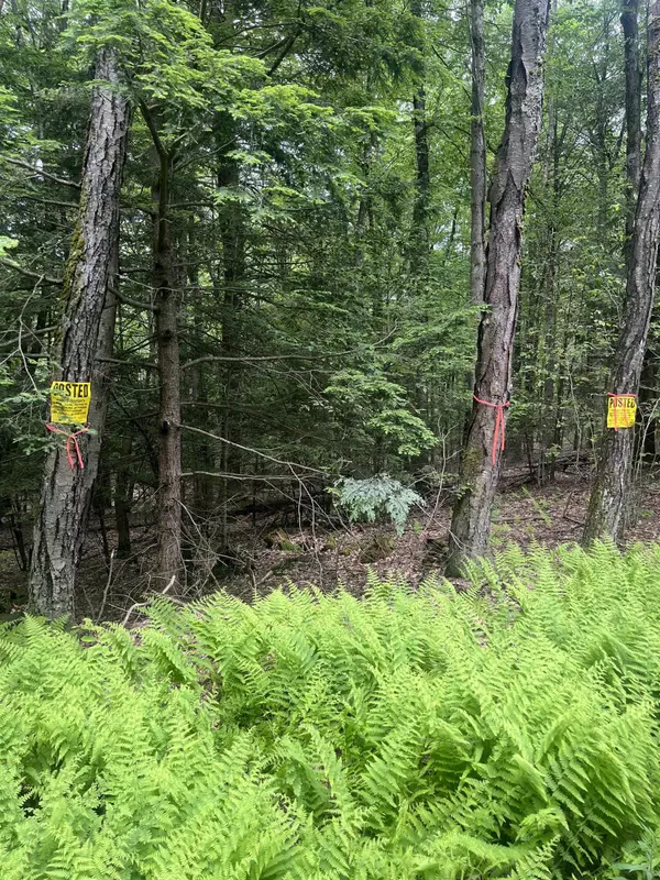 Guilford, VT 05301,0 Melendy Hill RD