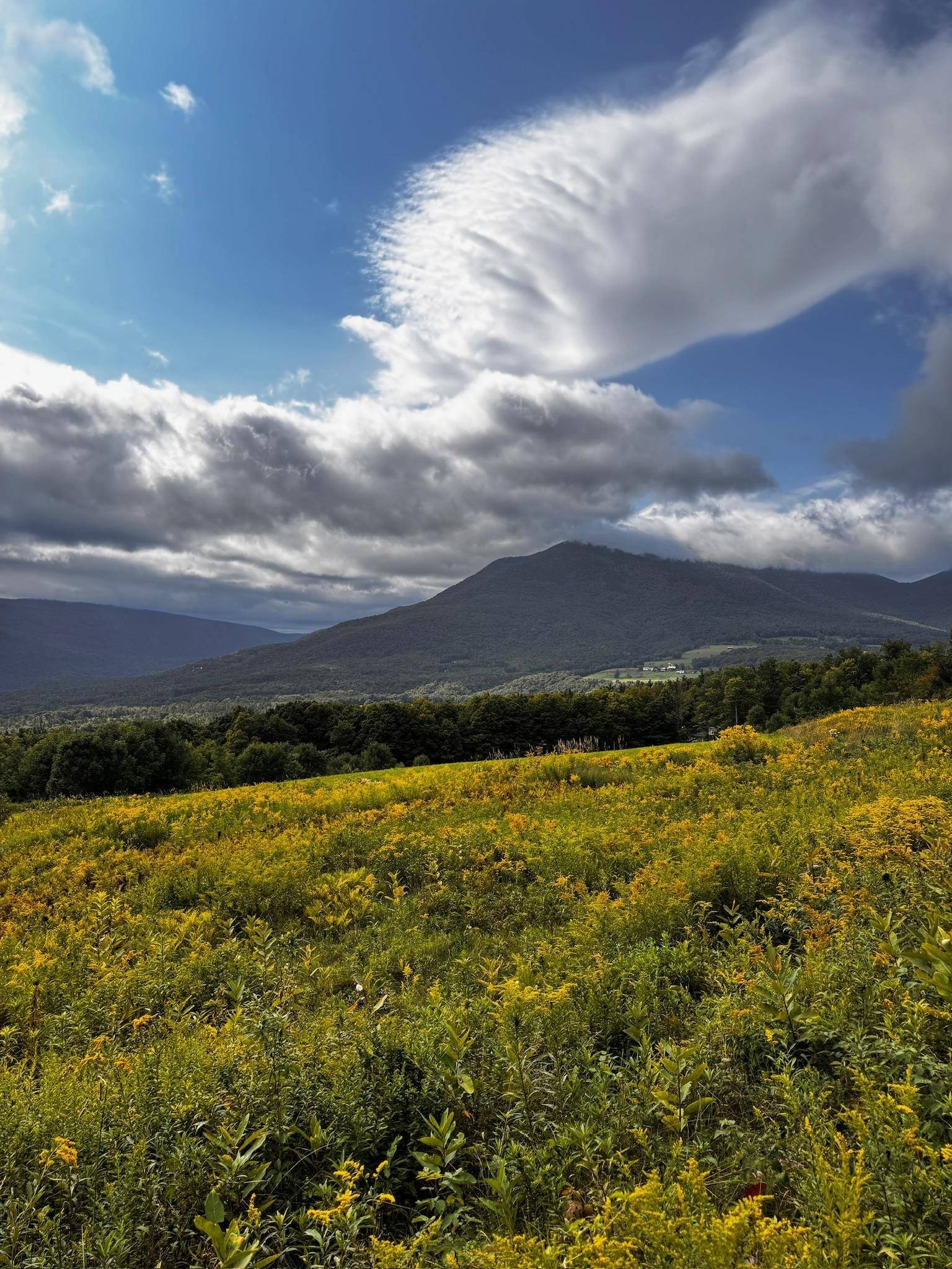 Danby, VT 05739,5 Staples RD #Lot #3