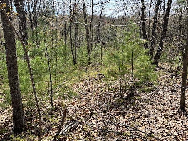 Bow, NH 03304,Lot 40B Quimby RD #40-D