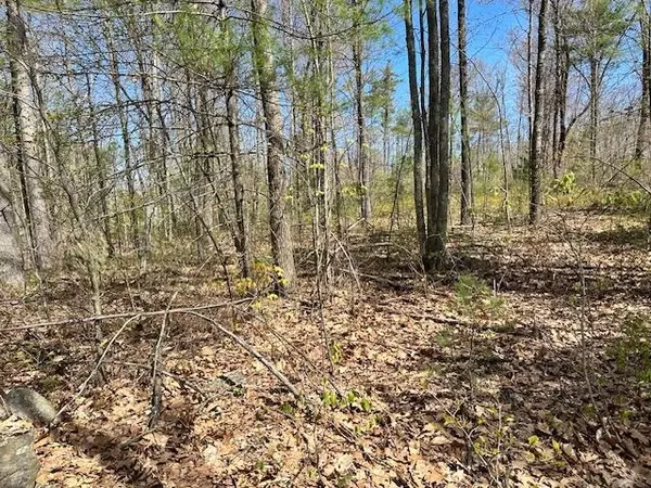 Lot 41-B Quimby RD #41-B, Bow, NH 03304