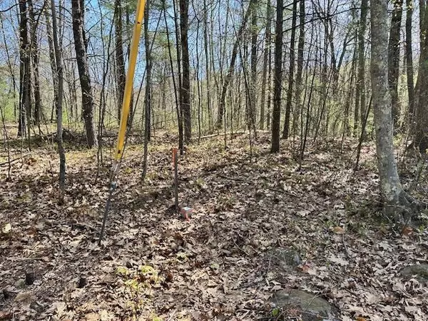 Bow, NH 03304,Lot 41-B Quimby RD #41-B