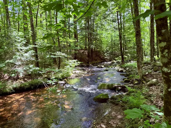 Madison, NH 03849,2160 Village RD