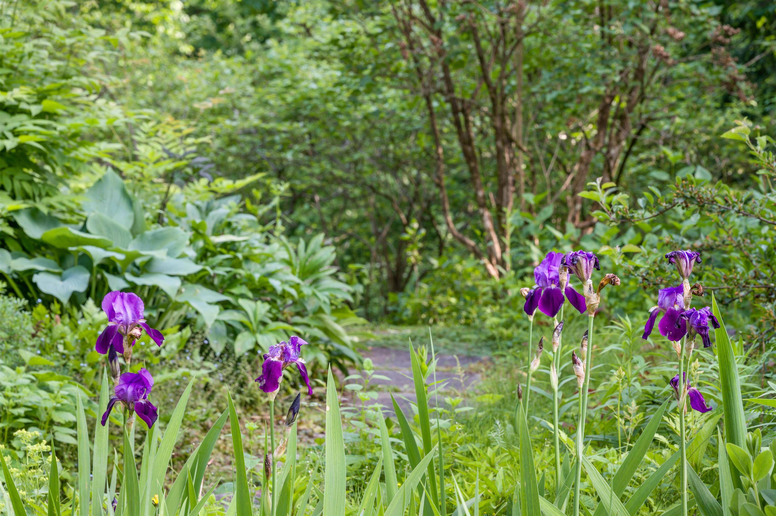 Middlesex, VT 05682,254 Macey RD