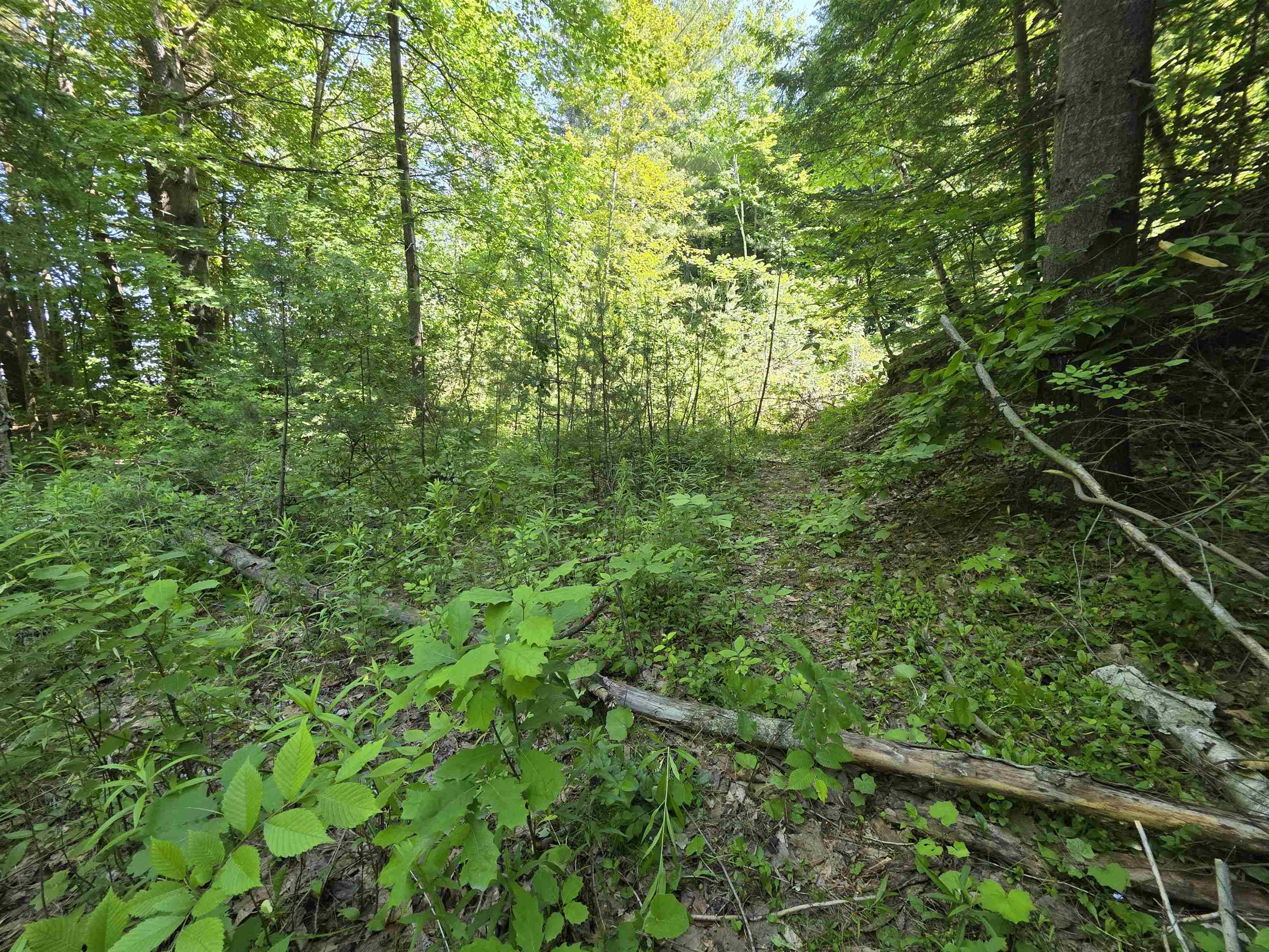 Barre City, VT 05641,Lot F Quarry ST