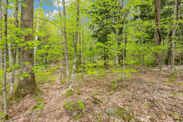 Fayston, VT 05673,0 Phen Basin RD