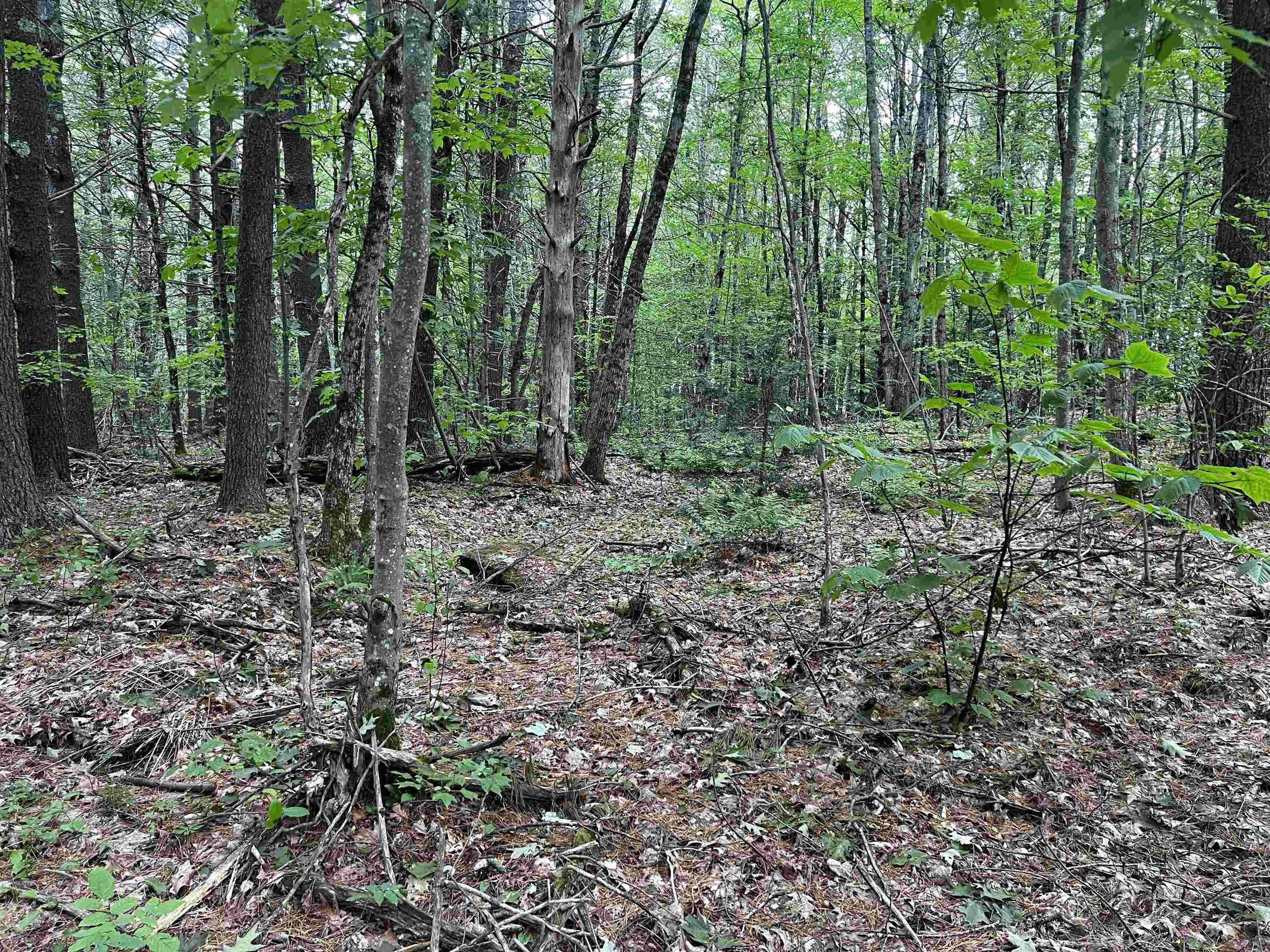 Walpole, NH 03436,0 Carpenter Hill RD